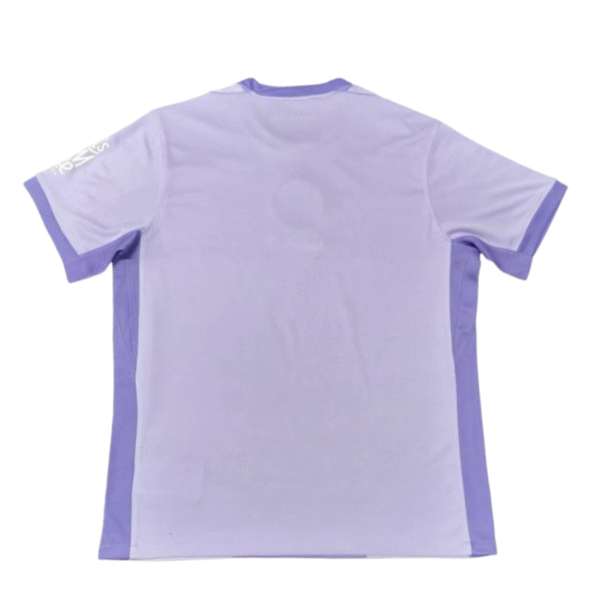 Brighton & Hove Albion  Away Football jersey 2025-26 Fan Version