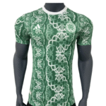 24-25 Celtics Pre Match Jersey Special Edition Short Sleeve Training Soccer Jersey -Player version