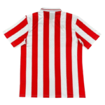 25-26 Olympiacos 100th Anniversary Edition Football Shirt-Fan version