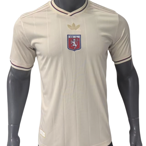 25-26 Lyon Anniversary Edition Football Shirt