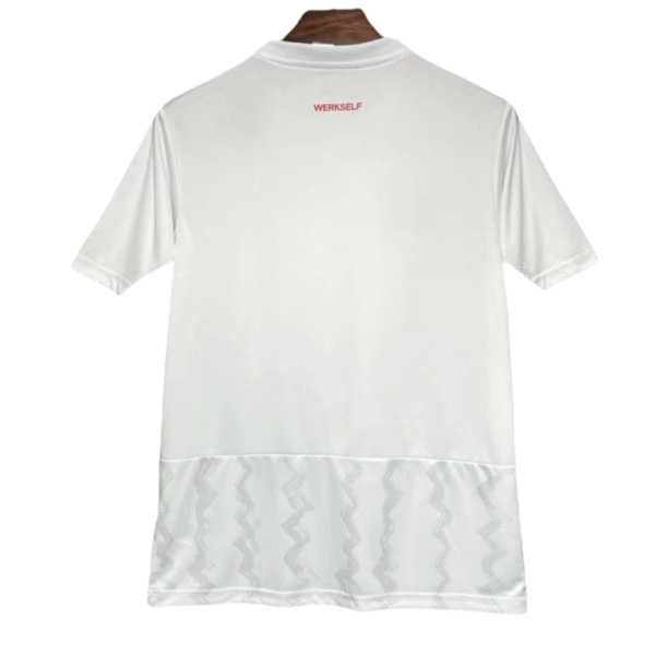 24-25 Bayer 04 Leverkusen Away Soccer Jersey