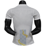 Tottenham Hotspur special edition shirt football jersey player version 25-26