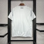 24-25 Ajax Third Away Jersey Fan Version